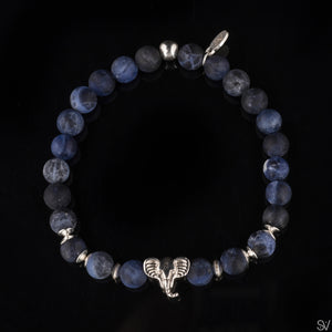 "Dumbo" Matte Sodalite