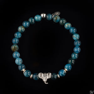 "Dumbo" Apatite