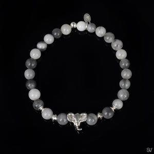 "Dumbo" Hawks eye