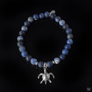 "A turtle's tale" Sodalite